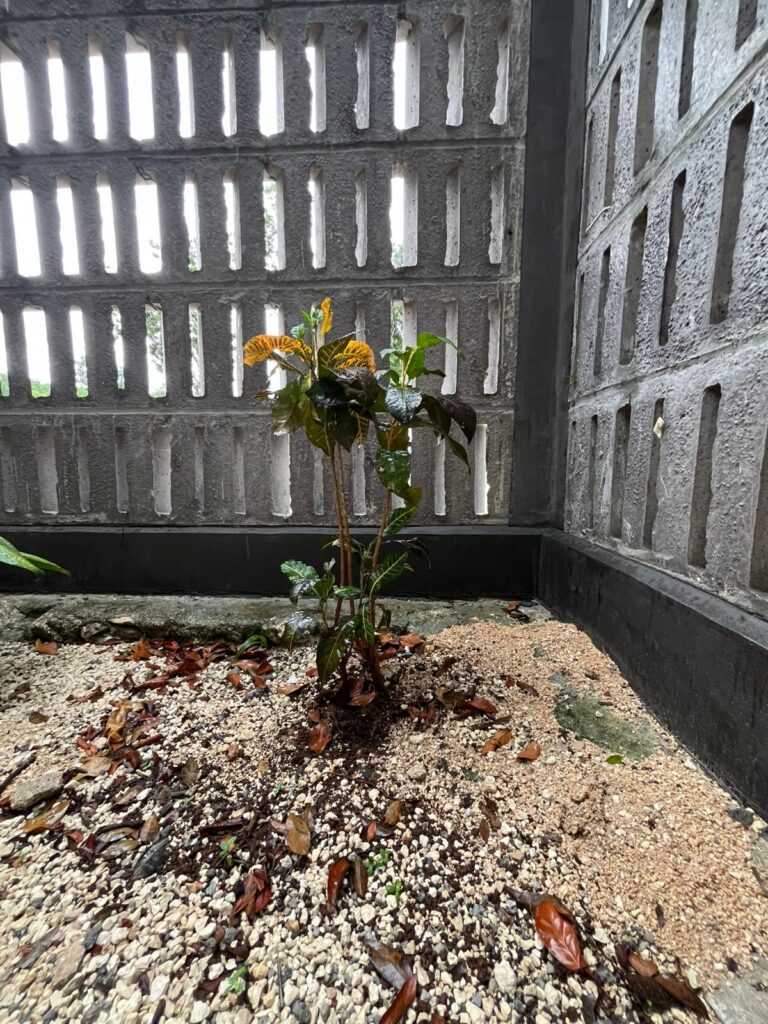 jardin depa 5